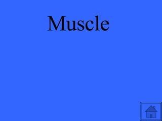 Muscle 