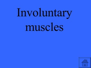 Involuntary muscles 