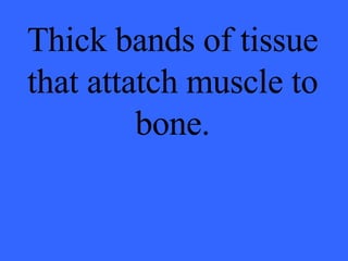 Thick bands of tissue that attatch muscle to bone. 