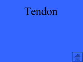 Tendon 