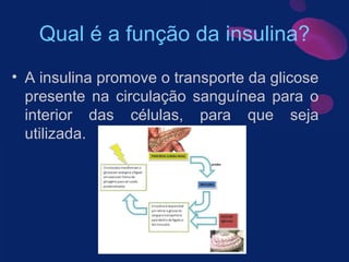 Qual é a função da insulina? A insulina promove o transporte da glicose presente na circulação sanguínea para o interior das células, para que seja utilizada. 