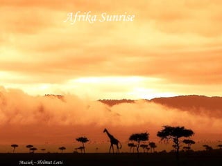 Afrika Sunrise Afrika Sunrise Muziek –  Helmut  Lotti 
