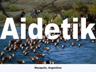 Aidetik Neuquén, Argentina 