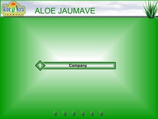 aloe vera seife rezept Le Chatelard 1802 Aloe Vera Seife  Anemos