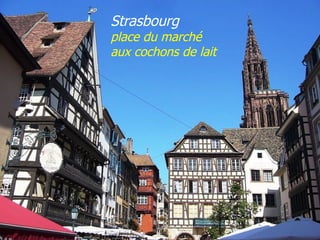 Strasbourg  place du marché aux cochons de lait 