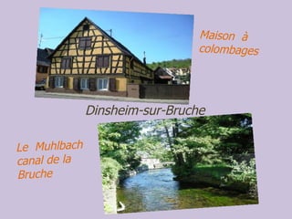 Dinsheim-sur-Bruche Maison  à colombages Le  Muhlbach  canal de la Bruche 