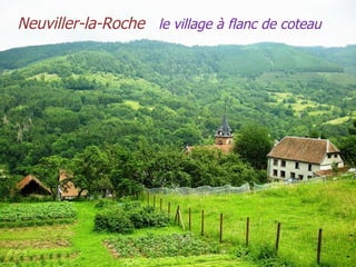 Neuviller-la-Roche  le   village à   flanc   de   coteau 