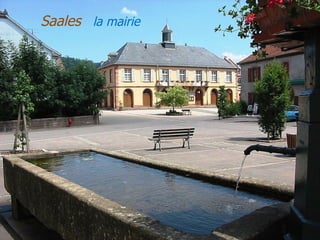 Saales  la   mairie   