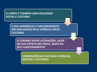 O CORPO É TAMBÉM UMA REALIDADE
SOCIAL E CULTURAL


   A SUA APARÊNCIA E FUNCIONAMENTO
   SÃO MOLDADOS PELA VIVÊNCIA SÓCIO-
   CULTURAL

       O CÉREBRO SOFRE ALTERAÇÕES, QUER
       NA SUA ESTRUTURA FÍSICA, QUER NO
       SEU FUNCIONAMENTO


          CONSEQUÊNCIAS DAS SUAS VIVÊNCIAS
          SOCIAIS E CULTURAIS
 
