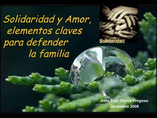Solidaridad y Amor, elementos  claves  para defender  la  familia Aldo Saúl Ochoa Fregoso Diciembre 2006 Solidaridad  