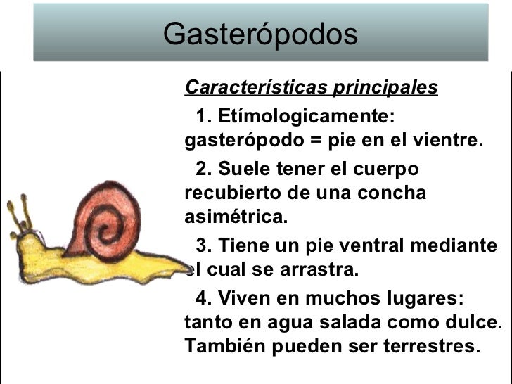 Tipos de Animales y sus Características