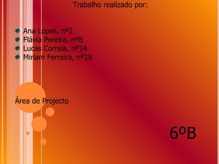 Trabalho realizado por: Ana Lopes, nº2 Flávia Pereira, nº8 Lucas Correia, nº14 Miriam Ferreira, nº18 Área de Projecto  6ºB 