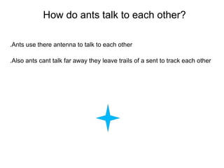 C:\fakepath\ants thingy