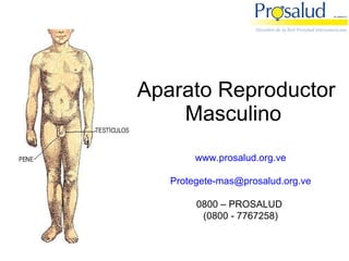 Aparato Reproductor Masculino  www.prosalud.org.ve [email_address] 0800 – PROSALUD  (0800 - 7767258) 