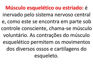 Músculo esquelético ou estriado: é inervado pelo sistema nervoso central e, como este se encontra em parte sob controle consciente, chama-se músculo voluntário. As contrações do músculo esquelético permitem os movimentos dos diversos ossos e cartilagens do esqueleto.