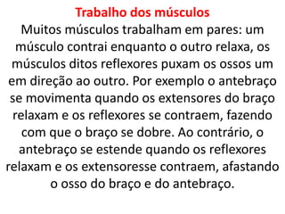 Trabalho dos músculosMuitos músculos trabalham em pares: um músculo contrai enquanto o outro relaxa, os músculos ditos reflexores puxam os ossos um em direção ao outro. Por exemplo o antebraço se movimenta quando os extensores do braço relaxam e os reflexores se contraem, fazendo com que o braço se dobre. Ao contrário, o antebraço se estende quando os reflexores relaxam e os extensoresse contraem, afastando o osso do braço e do antebraço.