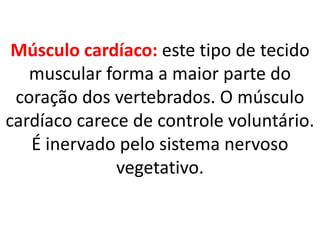 Músculo cardíaco: este tipo de tecido muscular forma a maior parte do coração dos vertebrados. O músculo cardíaco carece de controle voluntário. É inervado pelo sistema nervoso vegetativo.