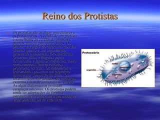 Reino dos Protistas Os protistas são as algas unicelulares e os protozoários. A célula de um protista é semelhante às células de animais e plantas, mas há particularidades. Os plastos das algas são diferentes dos das plantas quanto à sua organização interna de membranas fotossintéticas. Ocorrem cílios e flagelos para a locomoção. Alguns protozoários, como certas amebas, têm envoltórios protetores, as tecas. Os radiolários e heliozoários possuem um esqueleto intracelular composto de sílica. Os foraminíferos são dotados de carapaças externas feitas de carbonato de cálcio. As algas diatomáceas possuem carapaças silicosas. Os protistas podem ainda ter adaptações de forma e estrutura de acordo com o seu modo de vida: parasita, ou de vida livre. 
