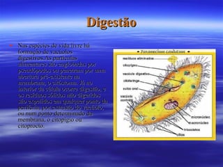 Digestão Nas espécies de vida livre há formação de vacúolos digestivos.As partículas alimentares são englobadas por pseudópodos ou penetram por uma abertura pré-existente na membrana, o citóstoma. Já no interior da célula ocorre digestão, e os resíduos sólidos não digeridos são expelidos em qualquer ponto da periferia, por extrusão do vacúolo, ou num ponto determinado da membrana, o citopígio ou citoprocto. 