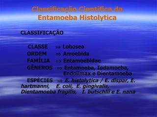 Classificação Científica da Entamoeba Histolytica CLASSIFICAÇÃO CLASSE    Lobosea ORDEM    Amoebida FAMÍLIA    Entamoebidae GÊNEROS    Entamoeba, Iodamoeba,   Endolimax e Dientamoeba ESPÉCIES     E. histolytica / E. dispar, E. hartmanni,  E. coli,  E. gingivalis,  Dientamoeba fragilis,  I. butschlii e E. nana 