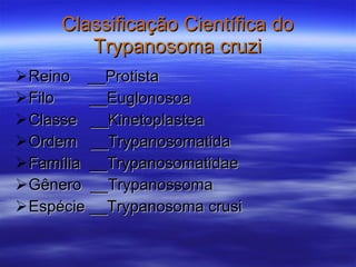 Classificação Científica do Trypanosoma cruzi Reino  __Protista Filo  __Euglonosoa Classe  __Kinetoplastea Ordem  __Trypanosomatida Família  __Trypanosomatidae Gênero  __Trypanossoma Espécie __Trypanosoma crusi 