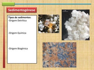 apresentação rework