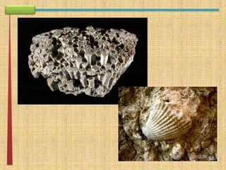 apresentação rework