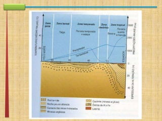 apresentação rework