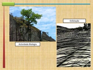 apresentação rework