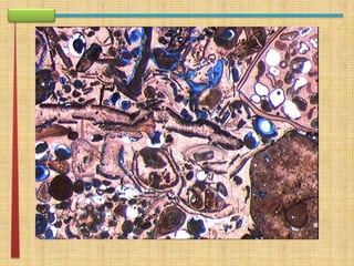 apresentação rework