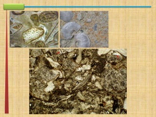 apresentação rework