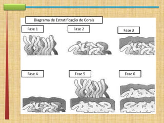 apresentação rework