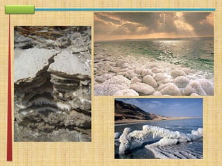 apresentação rework