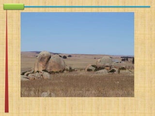 apresentação rework