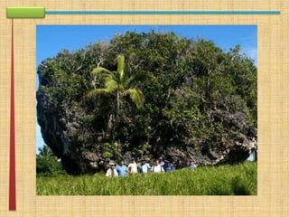 apresentação rework