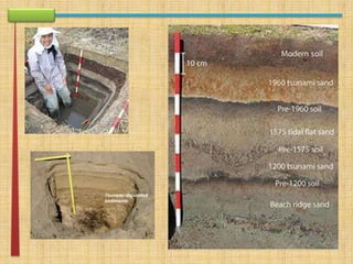 apresentação rework