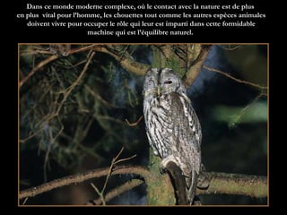 Dans ce monde moderne complexe, où le contact avec la nature est de plus  en plus  vital pour l’homme, les chouettes tout comme les autres espèces animales doivent vivre pour occuper le rôle qui leur est imparti dans cette formidable machine qui est l’équilibre naturel.   