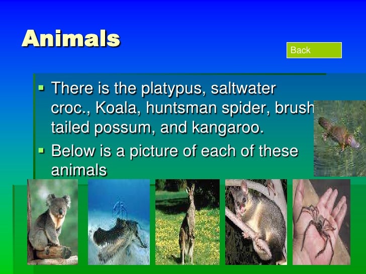 Australia Slide Show