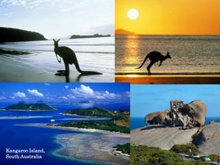 Kangaroo Island, South Australia