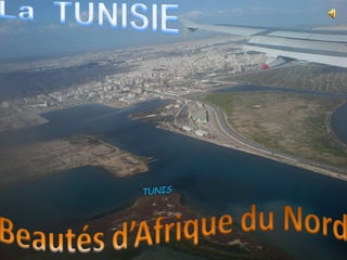 TUNIS
 