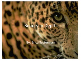 Beauty in Depth By: Erica Testerman 