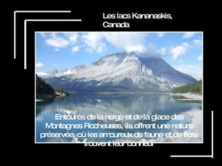 Les lacs Kananaskis, Canada Entourés de la neige et de la glace des Montagnes Rocheuses, ils offrent une nature préservée, où les amoureux de faune et de flore trouvent leur bonheur 