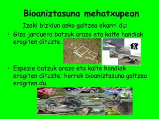 Bioaniztasuna mehatxupean
     Izaki bizidun asko galtzea ekarri du:
• Giza jarduera batzuk arazo eta kalte handiak
  eragiten dituzte.



• Espezie batzuk arazo eta kalte handiak
  eragiten dituzte; horrek bioaniztasuna galtzea
  eragiten du.
 