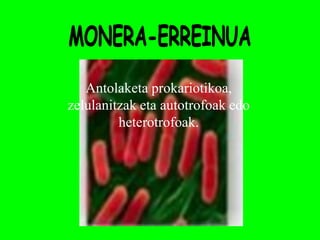 Antolaketa prokariotikoa,
zelulanitzak eta autotrofoak edo
         heterotrofoak.
 