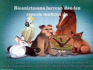 Bioaniztasuna lurrean dauden
     espezie multzoa da
 