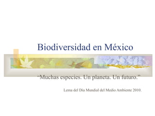 Biodiversidad en México “ Muchas especies. Un planeta. Un futuro.” Lema del Día Mundial del Medio Ambiente 2010. 