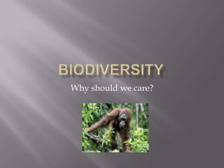 Biodiversity Why should we care? 