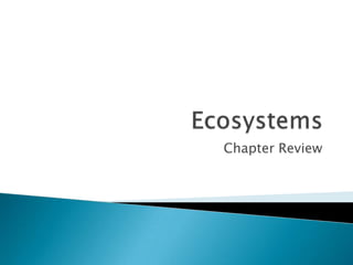Ecosystems Chapter Review 