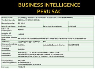 BUSINESS INTELLIGENCE PERU SAC 