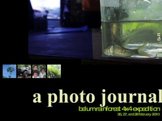 belum rainforest 4x4 expedition a photo journal S+R photography 26, 27, and 28 february 2010 